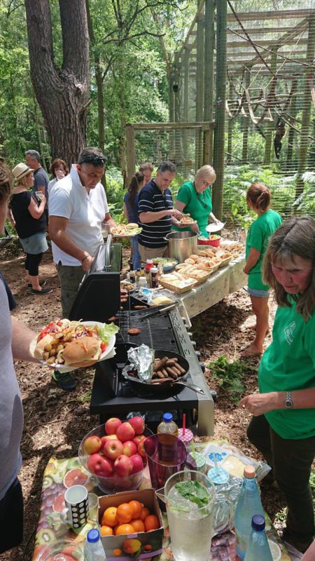 Corporate team building at Lakeview Monkey Sanctuary in Ascot, set within a private 10‑acre woodland supporting rescued primates and CSR impact. Team working together in the woodland at Lakeview Monkey Sanctuary, creating ethical CSR outcomes through hands‑on conservation activities near Ascot. Scenic woodland at Lakeview Monkey Sanctuary in Ascot, home to rescued monkeys and lemurs and used for immersive CSR team‑building experiences