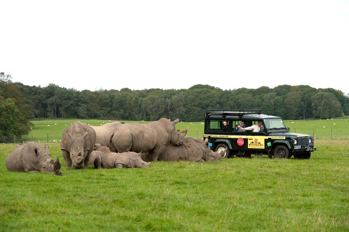 Scenic safari landscape at Knowsley Safari Park used for outdoor team‑building activities