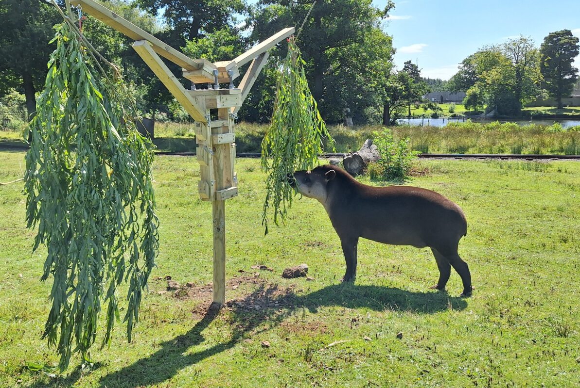 Scenic safari landscape at Knowsley Safari Park used for outdoor team‑building activities