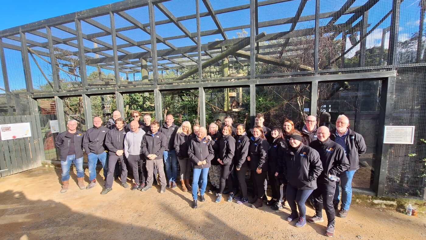 Employees working together during a CSR‑aligned team‑building activity at Five Sisters Zoo