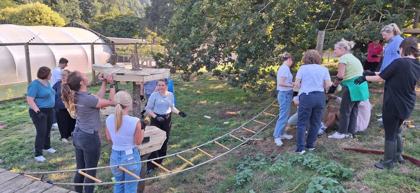 Corporate delegates engaging in outdoor team‑building tasks at Jimmy’s Farm’s countryside setting