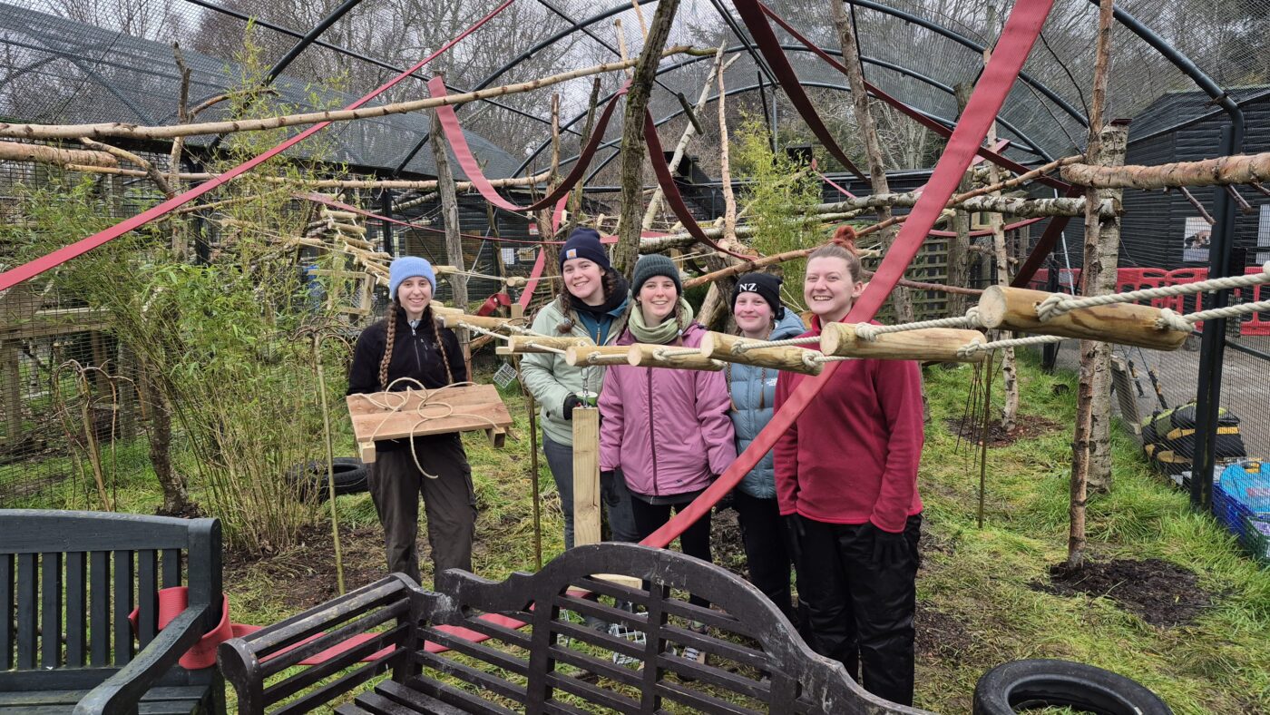 Team members participating in an ethical, conservation‑focused team‑building experience at Five Sisters Zoo.