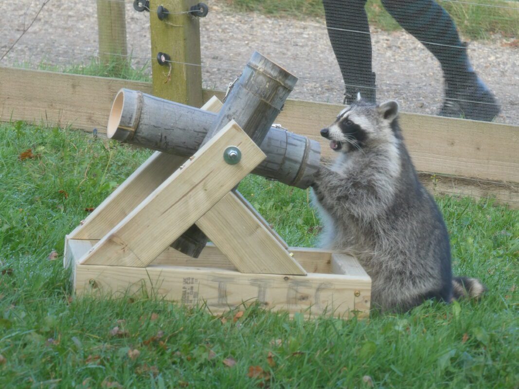 Scenic countryside setting at Jimmy’s Farm, ideal for CSR‑focused corporate away days.
