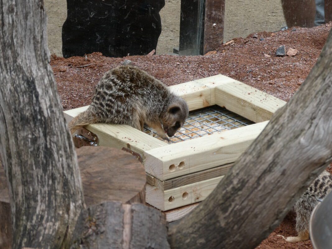 Corporate team building at West Midlands Safari Park with colleagues creating animal enrichment items that support wildlife welfare as part of a CSR‑focused activity