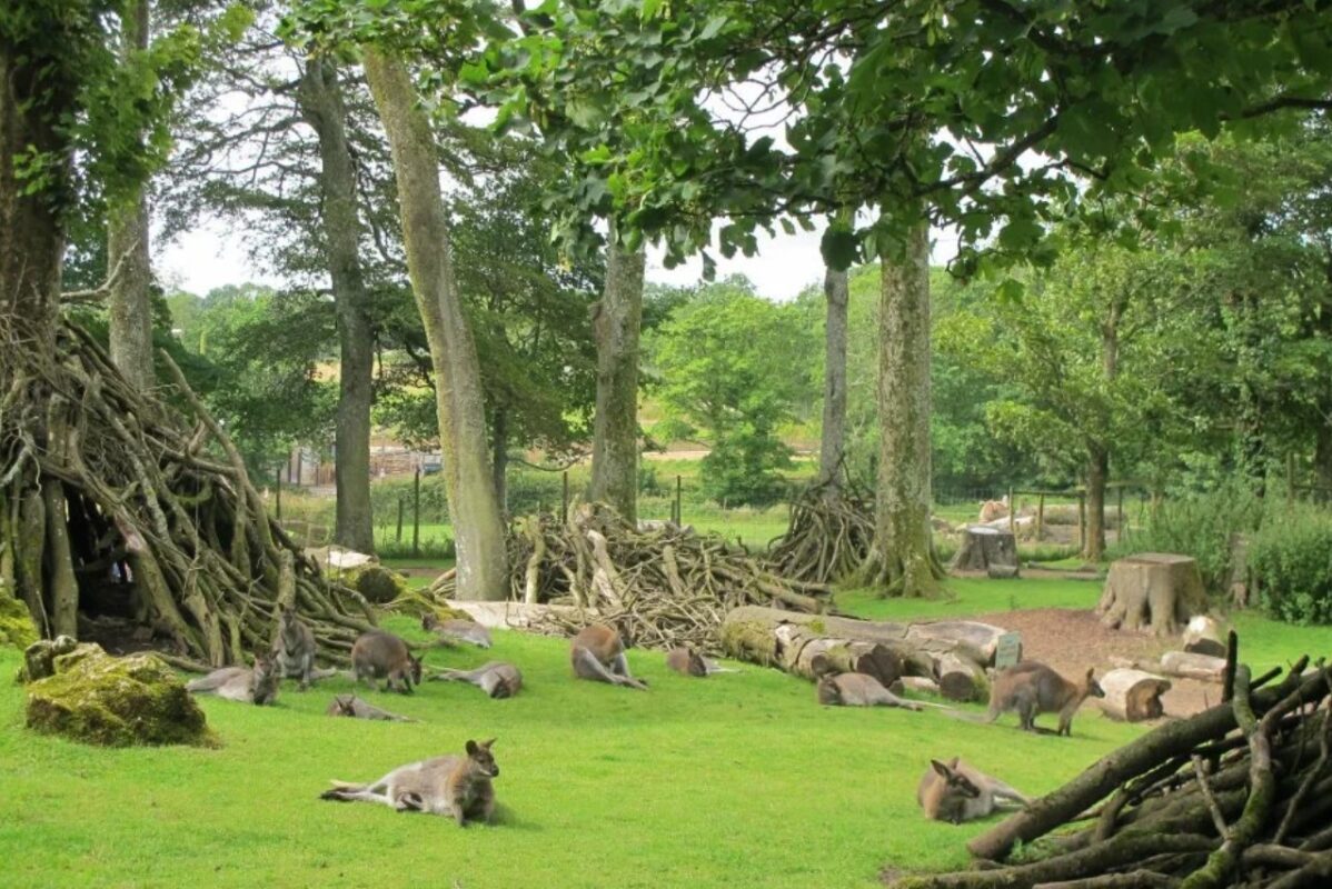 Conservation‑themed team‑building session at Manor Wildlife Park promoting CSR values and collaboration