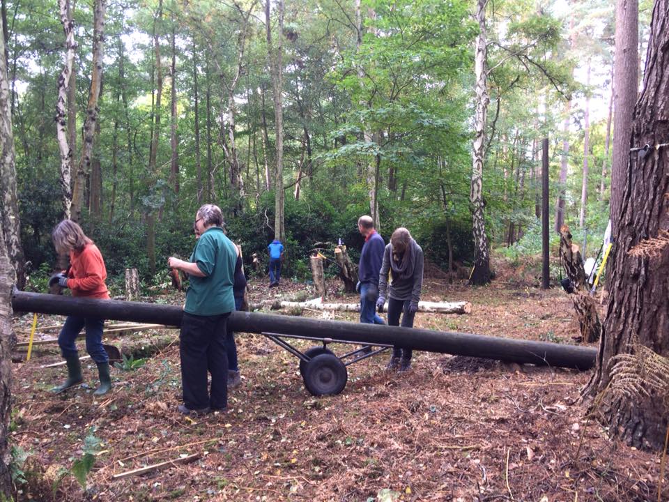 Corporate team building at Lakeview Monkey Sanctuary in Ascot, set within a private 10‑acre woodland supporting rescued primates and CSR impact. Team working together in the woodland at Lakeview Monkey Sanctuary, creating ethical CSR outcomes through hands‑on conservation activities near Ascot. Scenic woodland at Lakeview Monkey Sanctuary in Ascot, home to rescued monkeys and lemurs and used for immersive CSR team‑building experiences