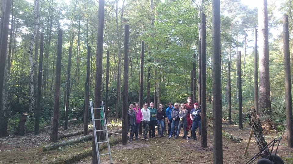 Corporate team building at Lakeview Monkey Sanctuary in Ascot, set within a private 10‑acre woodland supporting rescued primates and CSR impact. Team working together in the woodland at Lakeview Monkey Sanctuary, creating ethical CSR outcomes through hands‑on conservation activities near Ascot. Scenic woodland at Lakeview Monkey Sanctuary in Ascot, home to rescued monkeys and lemurs and used for immersive CSR team‑building experiences