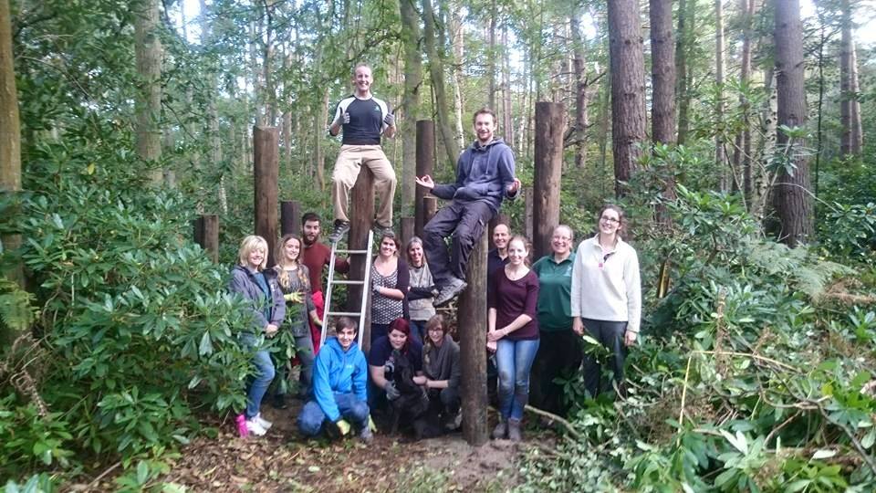 Corporate team building at Lakeview Monkey Sanctuary in Ascot, set within a private 10‑acre woodland supporting rescued primates and CSR impact. Team working together in the woodland at Lakeview Monkey Sanctuary, creating ethical CSR outcomes through hands‑on conservation activities near Ascot. Scenic woodland at Lakeview Monkey Sanctuary in Ascot, home to rescued monkeys and lemurs and used for immersive CSR team‑building experiences