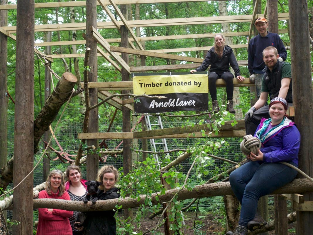 Corporate team building at Lakeview Monkey Sanctuary in Ascot, set within a private 10‑acre woodland supporting rescued primates and CSR impact. Team working together in the woodland at Lakeview Monkey Sanctuary, creating ethical CSR outcomes through hands‑on conservation activities near Ascot. Scenic woodland at Lakeview Monkey Sanctuary in Ascot, home to rescued monkeys and lemurs and used for immersive CSR team‑building experiences