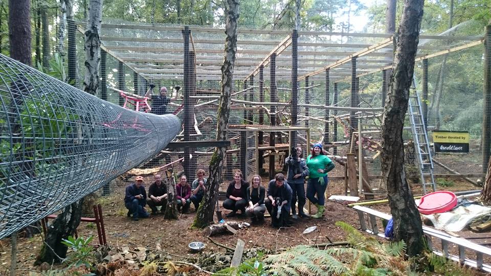 Corporate team building at Lakeview Monkey Sanctuary in Ascot, set within a private 10‑acre woodland supporting rescued primates and CSR impact. Team working together in the woodland at Lakeview Monkey Sanctuary, creating ethical CSR outcomes through hands‑on conservation activities near Ascot. Scenic woodland at Lakeview Monkey Sanctuary in Ascot, home to rescued monkeys and lemurs and used for immersive CSR team‑building experiences