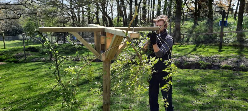 Team Building With Bite session at Dartmoor Zoo combining animal‑themed problem‑solving with conservation learning
