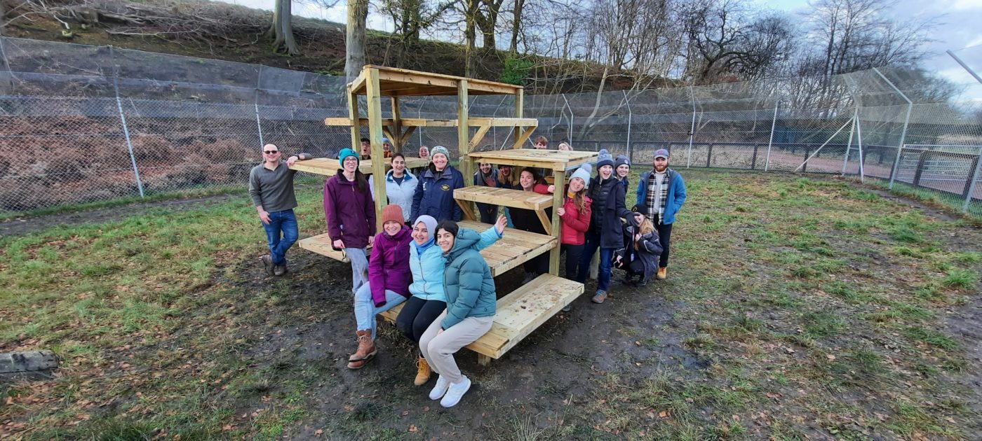 Employees working together during a CSR‑aligned team‑building activity at Five Sisters Zoo.