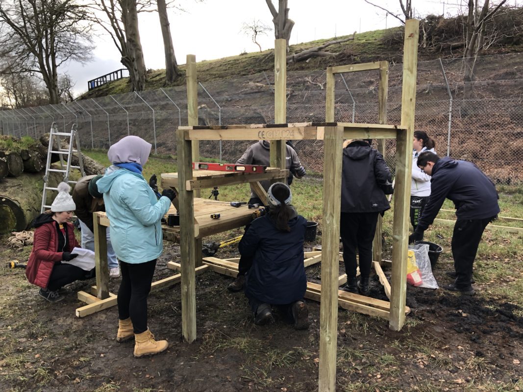 Corporate team taking part in a hands‑on team‑building challenge at Five Sisters Zoo to support conservation initiatives.