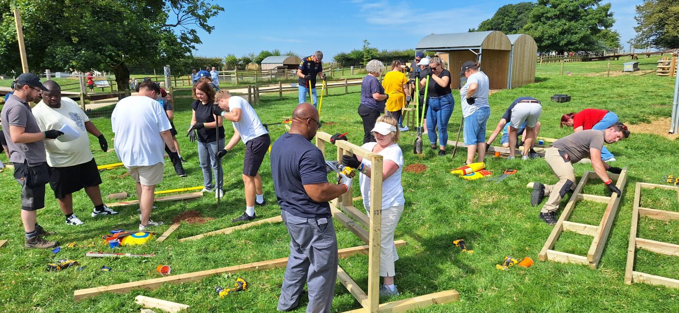 Senior leaders participating in a CSR‑focused team‑building activity at Cotswold Farm Park, supporting rare breed conservation. CEO engaging with rare breed animals during a corporate away day, highlighting commitment to ethical and sustainable business practices. Leadership team collaborating outdoors at Cotswold Farm Park, reinforcing company values around responsibility, conservation, and community impact.
