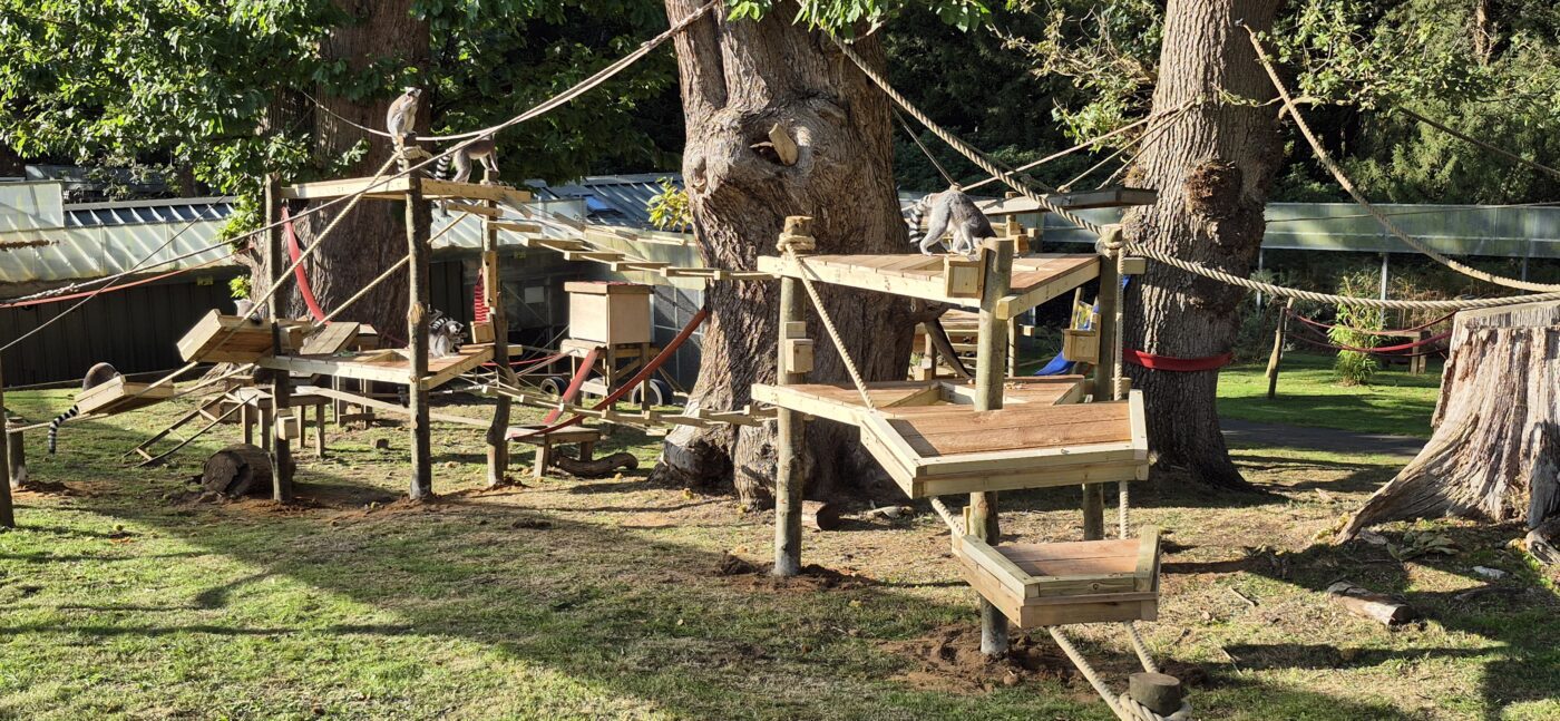 “Corporate group engaging in a CSR activity overlooking the wildlife habitats at Woburn Safari Park.” “Employees collaborating during a team building session at Woburn Safari Park’s Safari Lodge event space.”