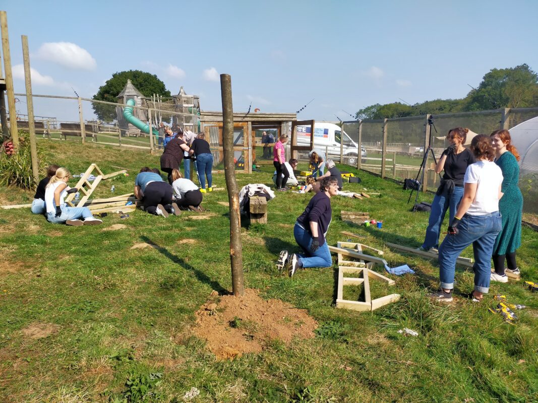 Corporate team taking part in a CSR team‑building event at Jimmy’s Farm & Wildlife Park Employees collaborating on hands‑on conservation activity at Jimmy’s Farm Team building enrichment items for Jimmy’s Farm animals during CSR workshop Purpose‑driven team‑building day supporting animal welfare at Jimmy’s Farm Staff working together on meaningful CSR activity in a farm and wildlife park setting
